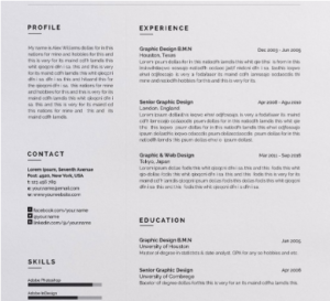 gray shade resume template