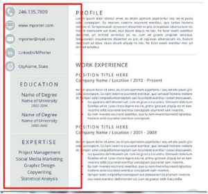 gray matter resume template